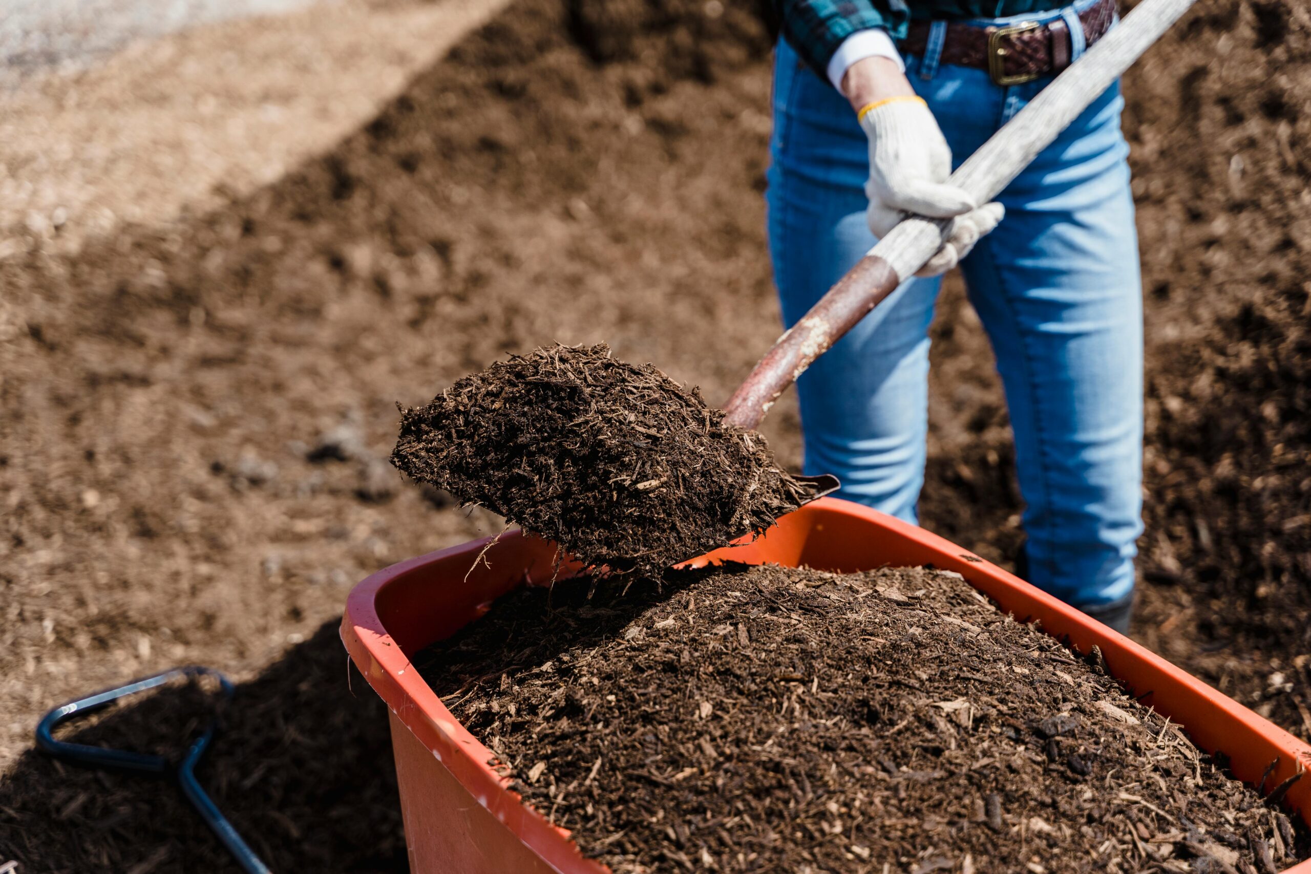 A person lifting some compost